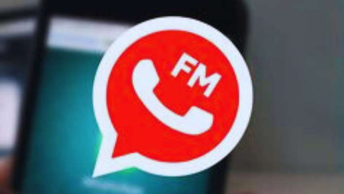 Exclusive Features FM WhatsApp