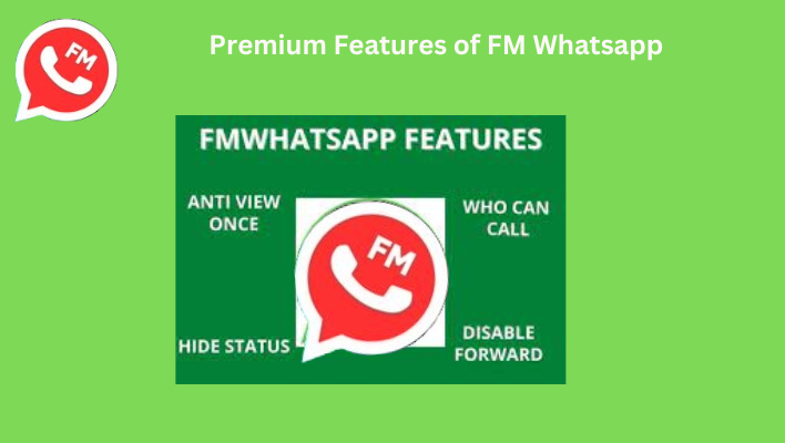 Premium Features of FM Whatsapp
